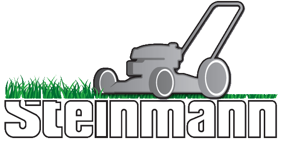 Steinmann